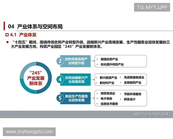 湖北企业家奋力创新突破 打造区域经济新高地助力社会发展